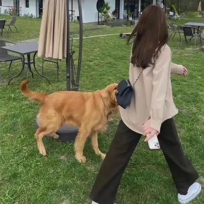 但愿人长久电影版